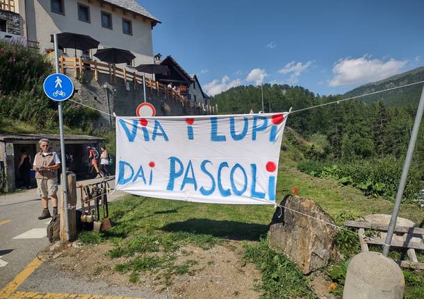 striscione allevatori alpe devero