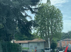 varie varese