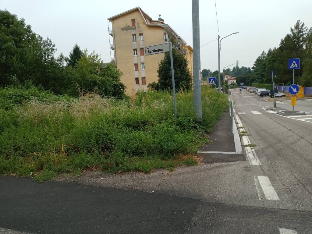 Manutenzione del verde pubblico... ASSENTE!!!