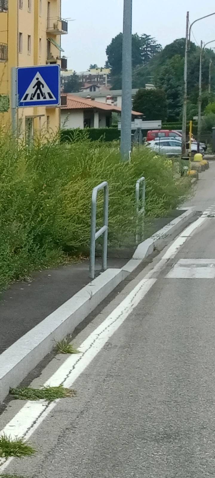 Manutenzione del verde pubblico... ASSENTE!!!