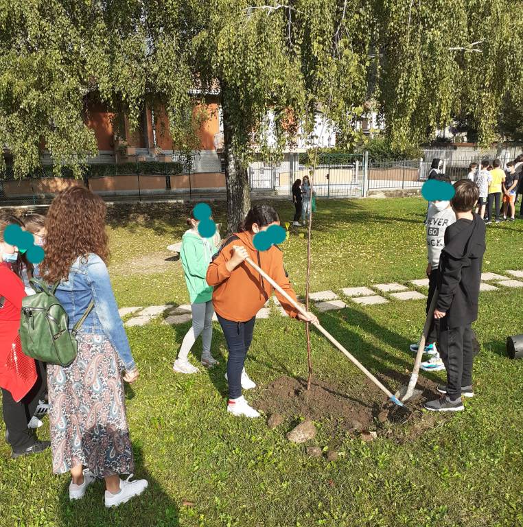 Gli studenti di Cuveglio piantano alberi in paese