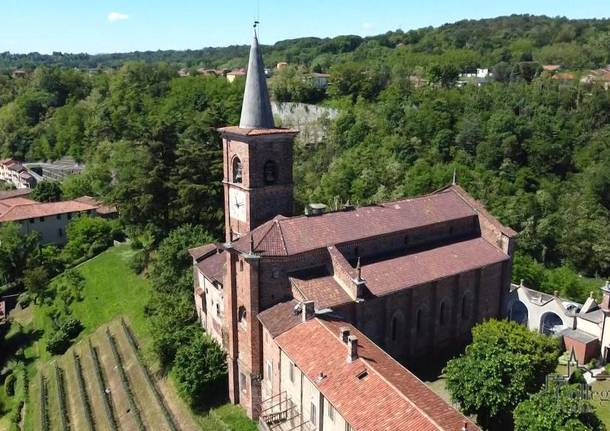 Castiglione Olona - Collegiata