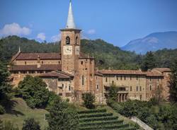 Castiglione Olona  - Vendemmia 2021 nella vigna  della Collegiata