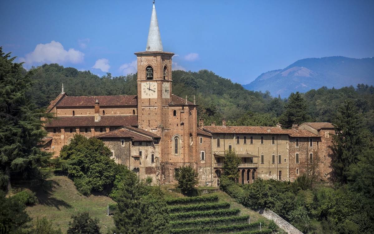 Castiglione Olona  - Vendemmia 2021 nella vigna  della Collegiata