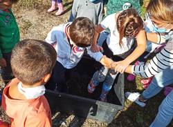 Dalla scuola alla vigna, mattinata speciale per gli alunni della scuola primaria di Casciago