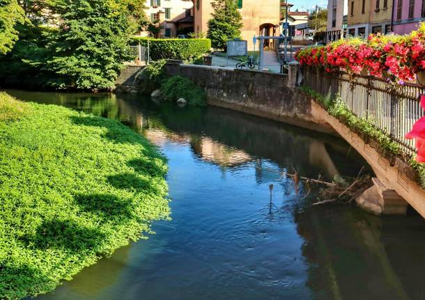 Il fiume Bardello a Besozzo