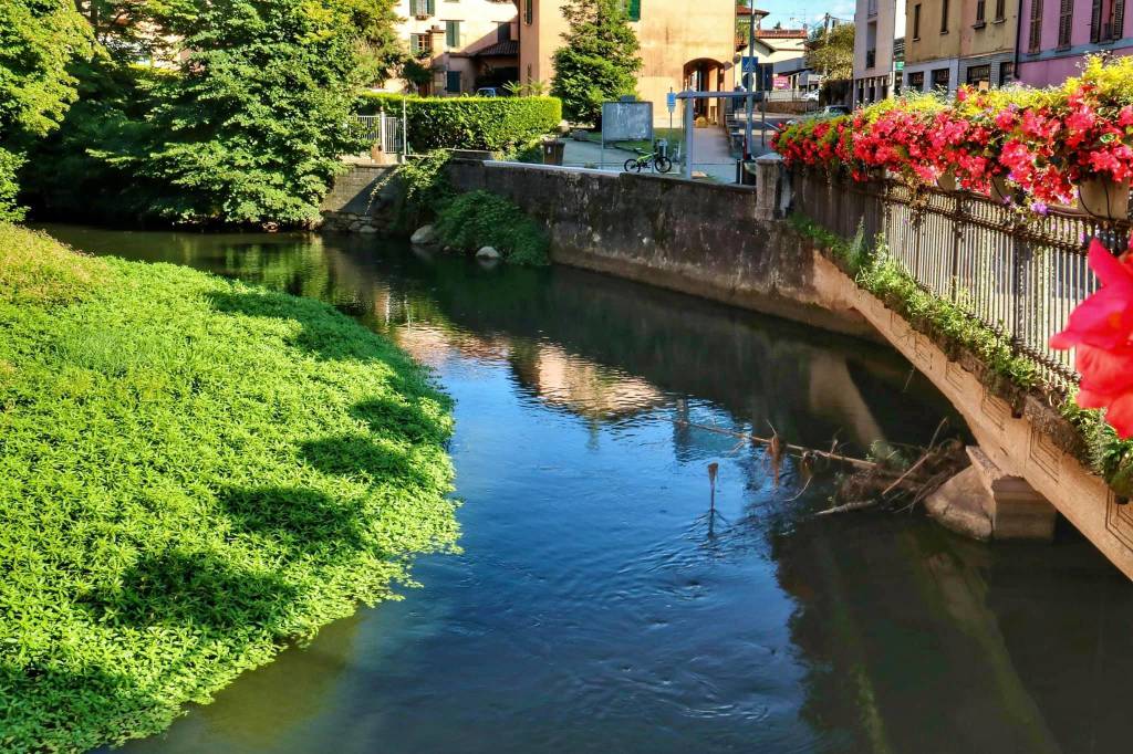 Il fiume Bardello a Besozzo