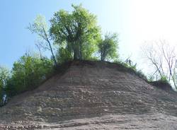 Il progetto di un "geoparco" per valorizzare la ex cava Rusconi di Morosolo