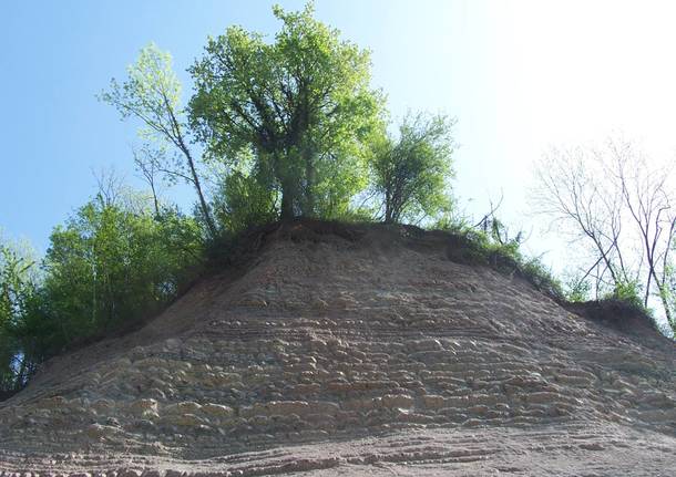 Il progetto di un "geoparco" per valorizzare la ex cava Rusconi di Morosolo