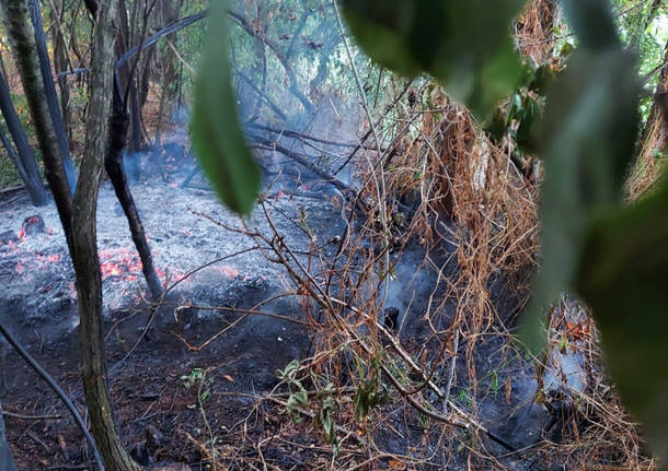 incendio sterpaglie inveruno