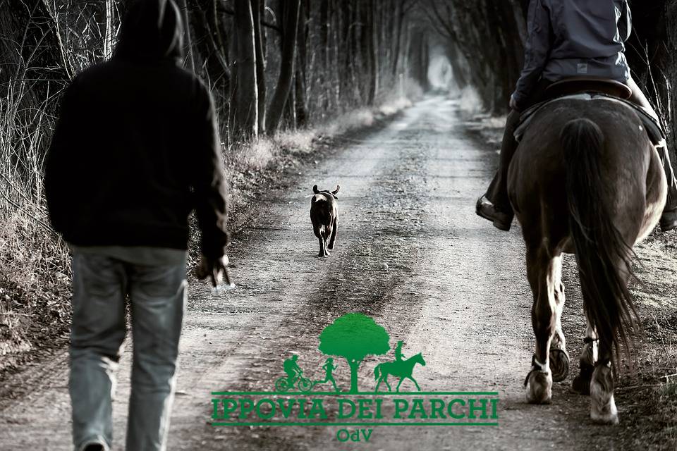 Ippovia dei parchi