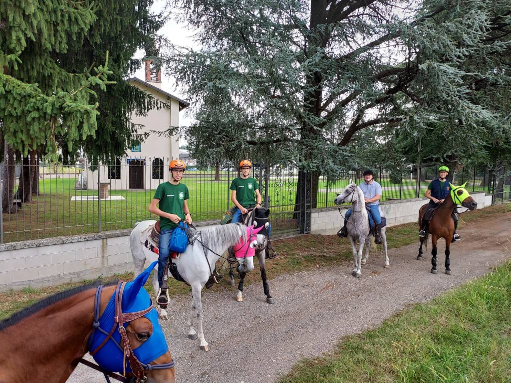 Ippovia dei parchi