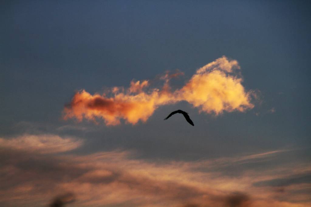 L'alba sul Lago di Comabbio