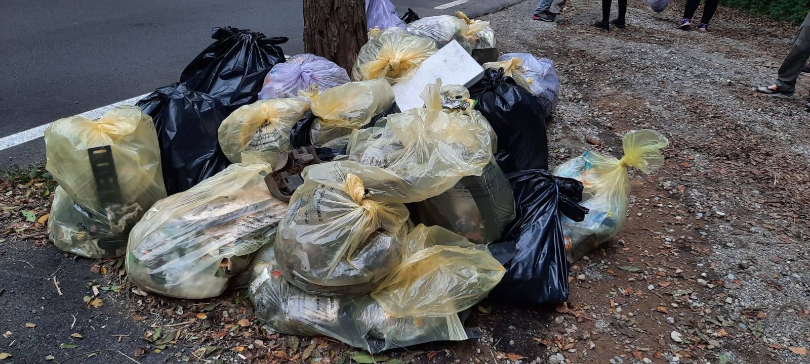 La raccolta dei rifiuti a Varese
