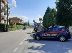 luino generiche