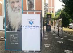 mostra cai luino