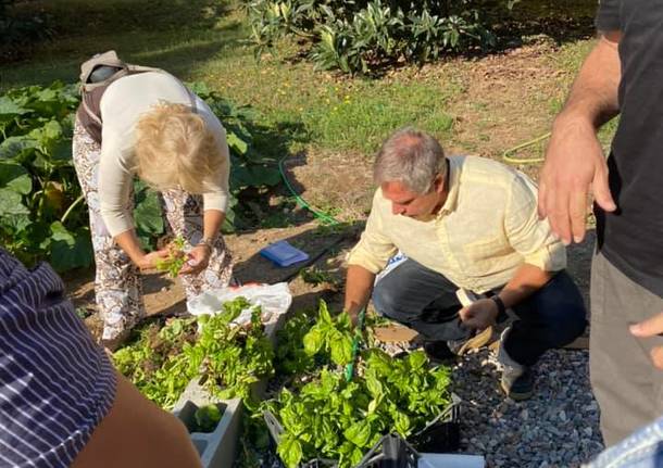 Saronno, agli Istituti “Gino Zappa” e “Leonardo da Vinci” gli orti didattici cofinanziati da Regione Lombardia
