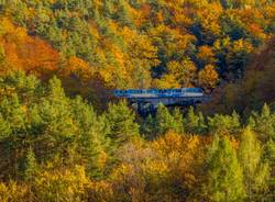treno del foliage - ph. Rob Lewis
