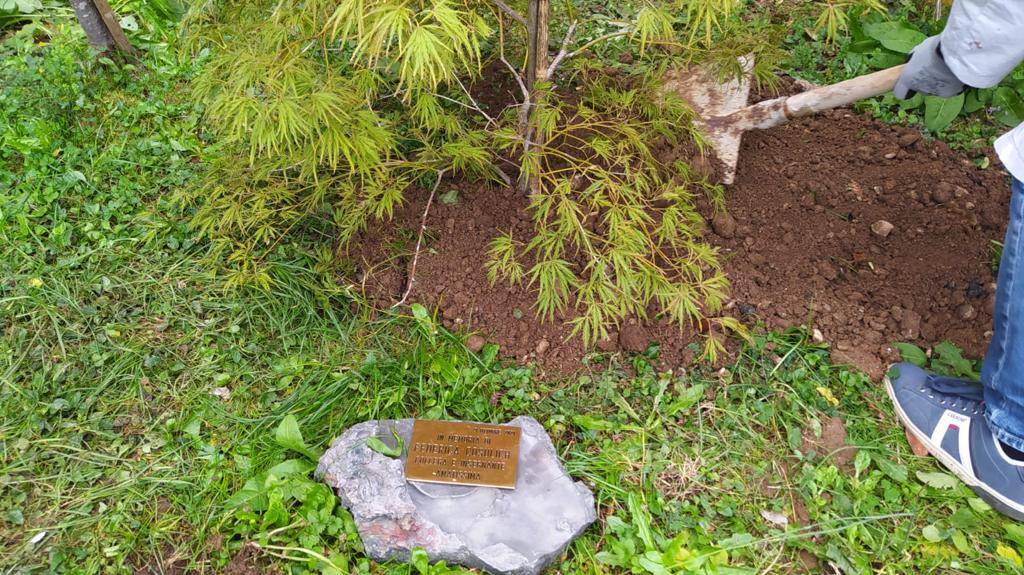 Al Liceo Legnani di Saronno due targhe in memoria delle professoresse Cosulich e Giuffrida