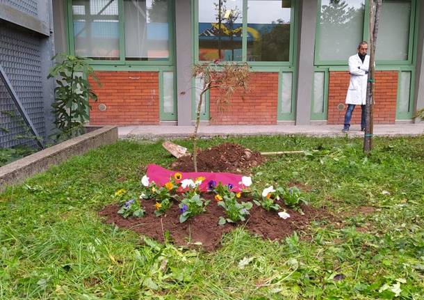 Al Liceo Legnani di Saronno due targhe in memoria delle professoresse Cosulich e Giuffrida