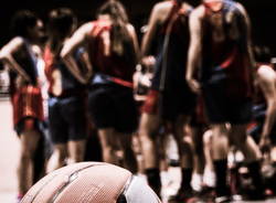 basket uisp