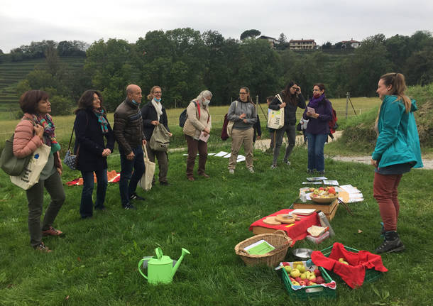 biodiversità - giornata formativa regio insubrica