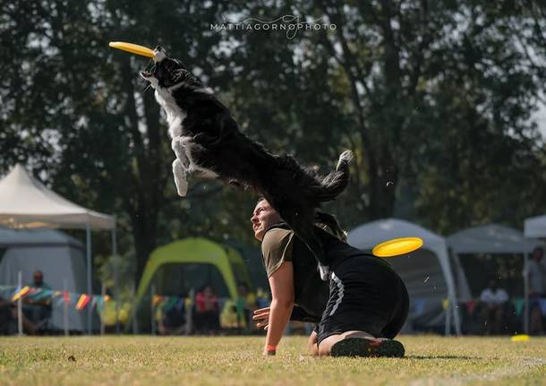 Bisuschio - Carlotta Salzano e Bebe, campionesse di disc dog