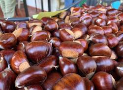 Tempo di castagne: eco come sta andando l\'annata