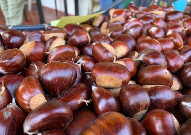 Tempo di castagne: eco come sta andando l\'annata