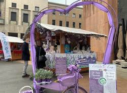 Un paesino del Trentino in piazza a Varese