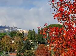 Casciago si tinge d'autunno