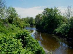 fiume olona