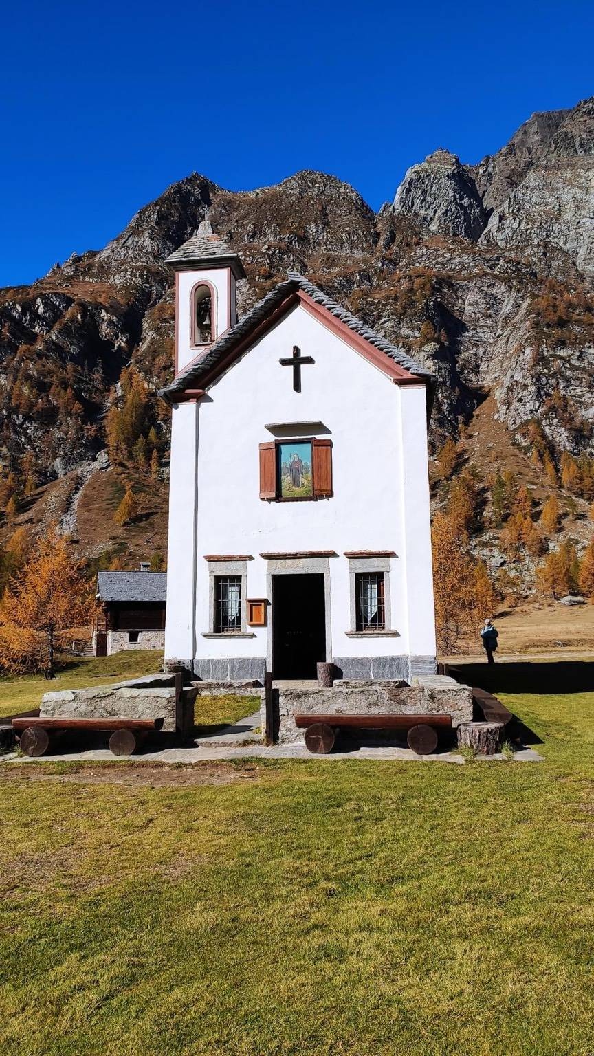 Foliage al Devero