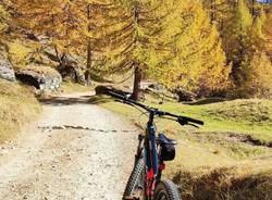 Foliage al Devero