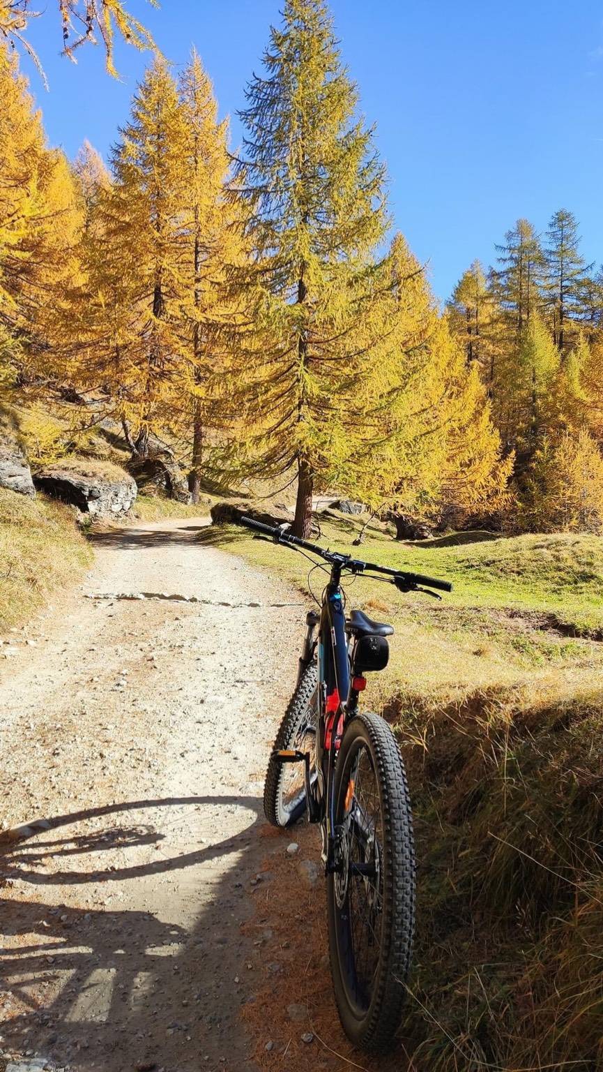 Foliage al Devero