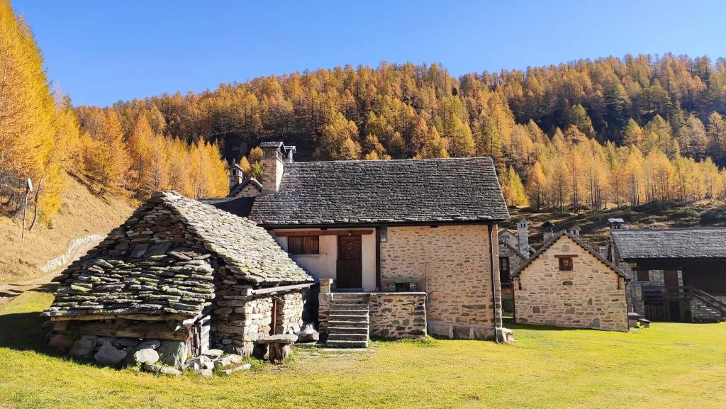 Foliage al Devero