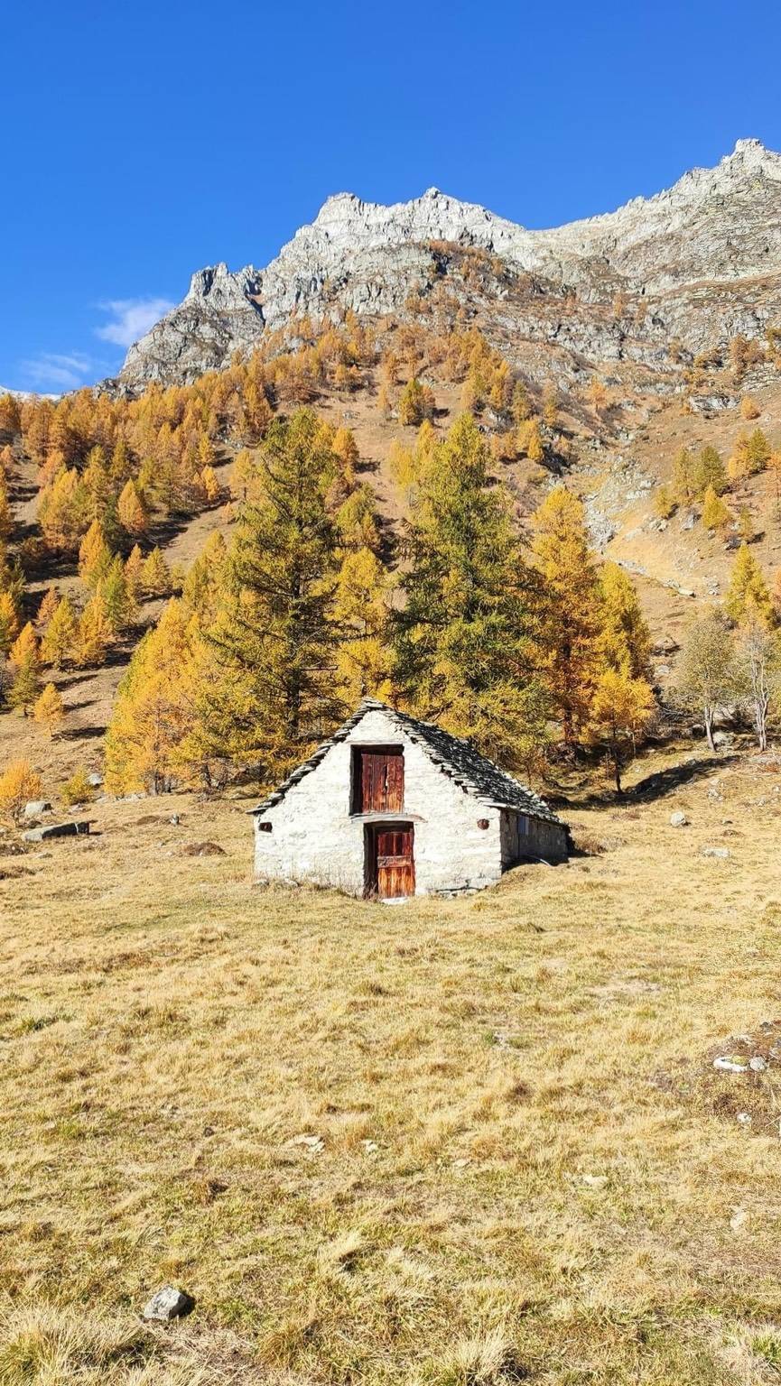 Foliage al Devero