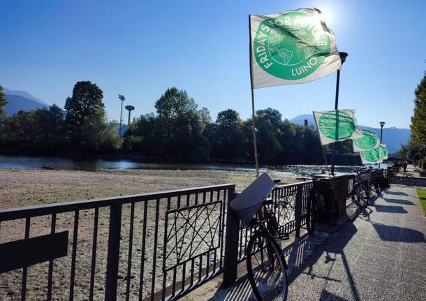 Fridays for Future torna in piazza a Luino