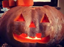 Halloween 2021 - Le zucche dei lettori di Varesenews