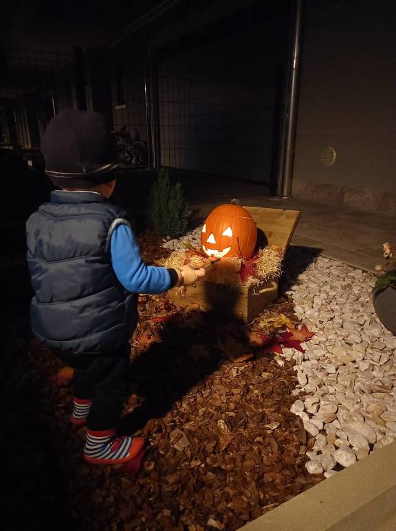 Halloween 2021 - Le zucche dei lettori di Varesenews