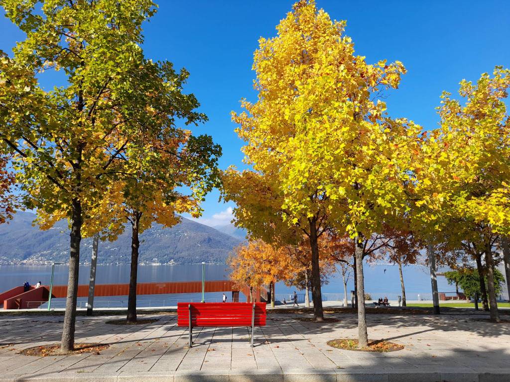 I colori dell'autunno a Germignaga - foto di Marzia Malesani