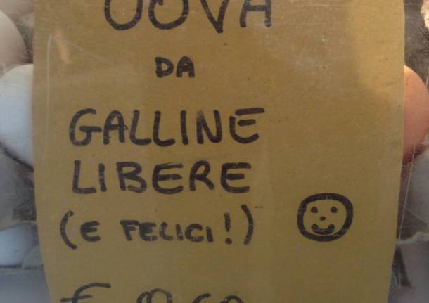 Il Mercato della terra del Piambello a Induno Olona