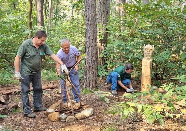 Il nuovo sentiero della magia nel bosco al Parco Pineta