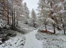 In Val d'Ossola è arrivata la neve