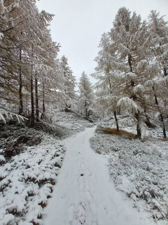 In Val d'Ossola è arrivata la neve