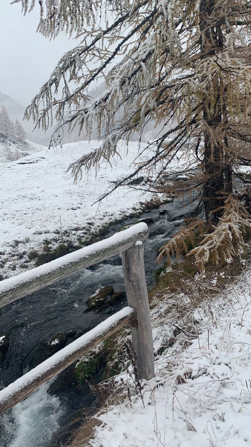 In Val d'Ossola è arrivata la neve