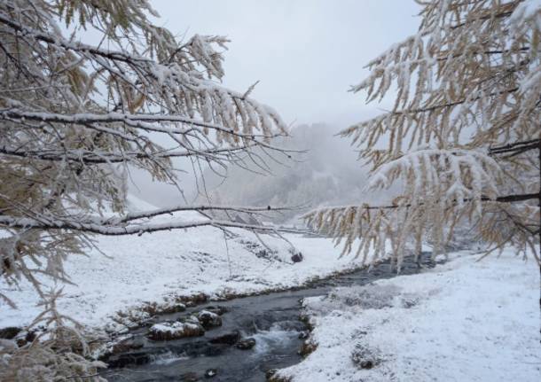 In Val d’Ossola è arrivata la neve