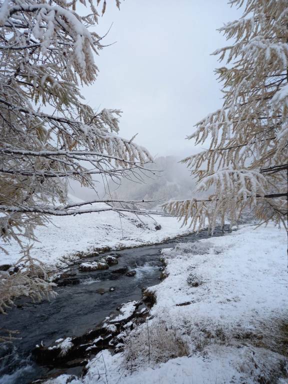 In Val d'Ossola è arrivata la neve