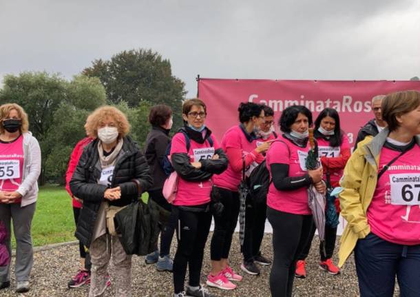 La camminata in rosa di Laveno Mombello 