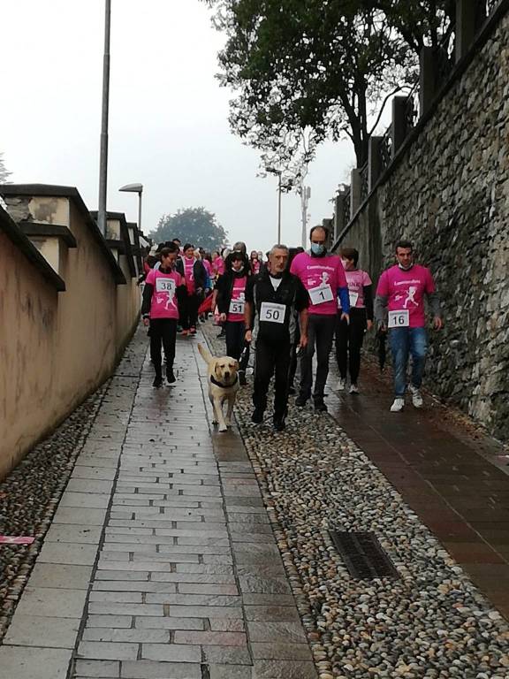 La camminata in rosa di Laveno Mombello 